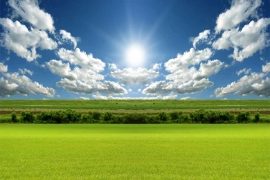 Spring Field Wallpapers   Crazy Frankenstein