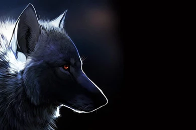 Wolf HD Live Wallpapers Animals   Android Apps And Tests   AndroidPIT