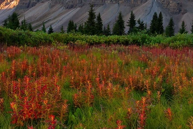 Wallpapers Weekends: Fall Has Fell   Autumn Wallpapers For The ...