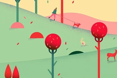 Autumn iPhone 5s Wallpapers