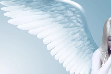 Angels Are Eager To Help Us   Ask An Angel   Connect With Your Angels