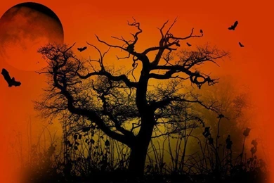 Top Funny Halloween Desktop Background Images For Pinterest