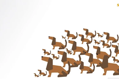 Dachshund HD Desktop Wallpapers : High Definition : Mobile