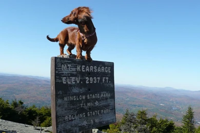 34776_1600x1200 wallpaper cb1303240827.jpg