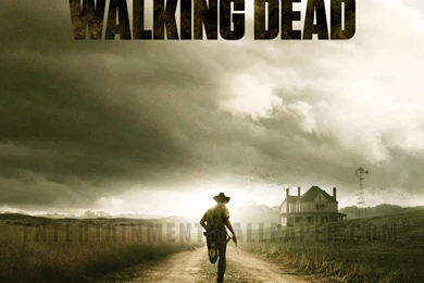 The Walking Dead Wallpapers