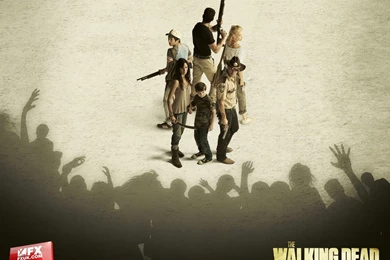 The Walking Dead   The Walking Dead Wallpapers (25862323)   Fanpop