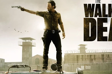Download The Walking Dead Fight The Dead Poster Wallpapers For iPad 2