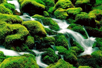 Desktop Wallpaper: Download Free Desktop Wallpapers