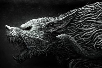 1600x900 Wolf Wallpapers HD, Desktop Backgrounds 1600x900