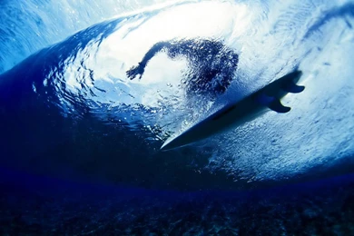 Surfing Photography   ID: 24189