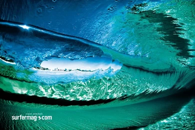 Surf Boards Graphics And Comments