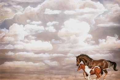 Horses.gif   Horse Ranch Bonaire