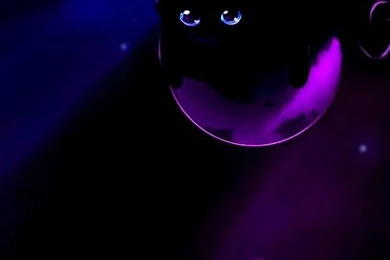 Cat Iphone Wallpapers 2 Iphone Wallpapers Free Iphone 4 Wallpapers ...