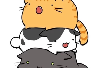 iPhone Cat Wallpapers On Pinterest