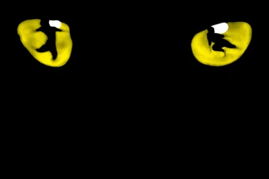 iPhone Wallpapers   Cats The Musical