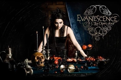 Evanescence Wallpapers   Evanescence Wallpapers (17602939)   Fanpop