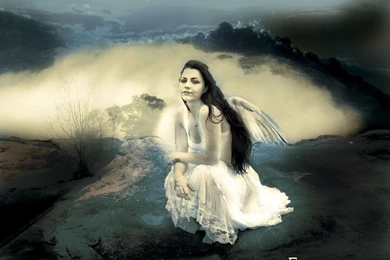 DeviantArt: More Like Evanescence Wallpapers By ShinodaArts