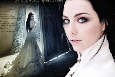 Amy Lee   Evanescence Wallpapers (284730)   Fanpop
