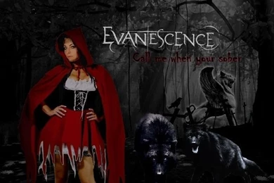 Wallpapers   Evanescence Photo (18882807)   Fanpop