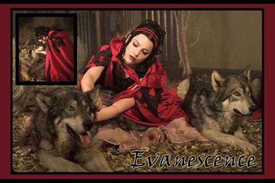 Evanescence Wallpapers By Aravis17 On DeviantArt