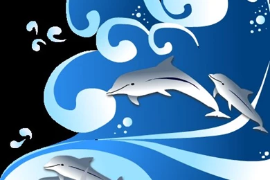 Dolphin Splash Backgrounds By D4068561 On DeviantArt