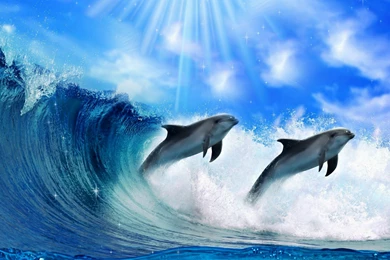 Dolphins in the surf wide wallpaper hd.jpg