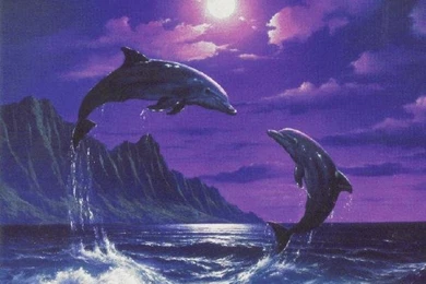 Under The Sea With HummingBirdMom !