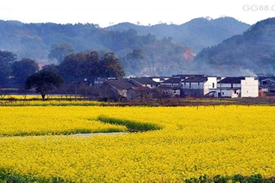 Download Free Hd Wallpapers For PC   HD Wallpapers Pretty