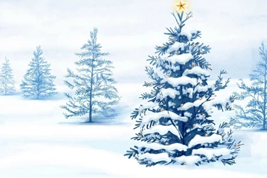 Animated Christmas Tree In Winter Photos Of Animated Xmas ...