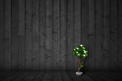 Samsung Galaxy Tablet HD 960x800 Wallpapers Android_barcode_New ...