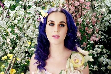 Katy perry 20295 1920x1080.jpg