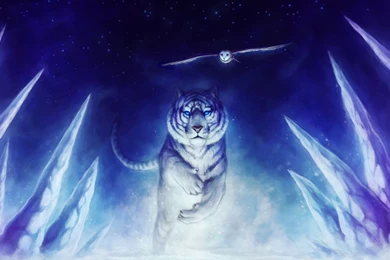 Cool Tiger Wallpapers