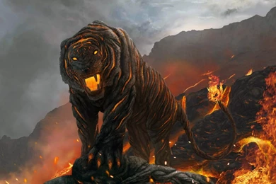 Fire 3D Tiger Wallpaper HD.jpg