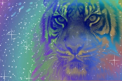 COOL Favourites By LulgiFan101 On DeviantArt