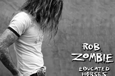 Rob Zombie   Heavy Metal Wallpapers (561532)   Fanpop