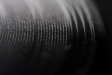 Download Record Vinyl Wallpapers 2560x1600