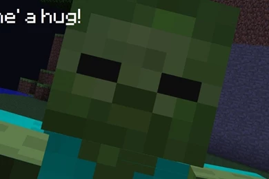 Funny Minecraft Quotes. QuotesGram