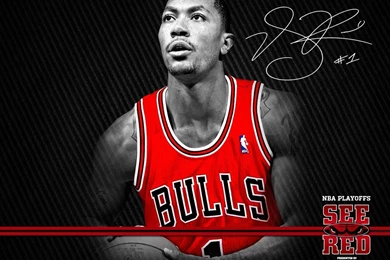 2012 Playoffs: See Red Wallpapers