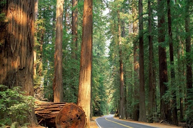 Mashababko: Europe Wallpapers Nature