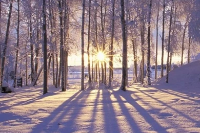 Backgrounds On Pinterest