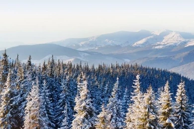 Winter Wallpapers For Iphone 6   HD Wallpaper Backgrounds Of Your ...