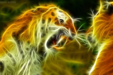 Cool Tiger Backgrounds