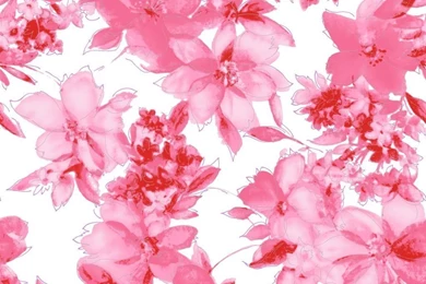 Pretty Pink Flower Wallpaperpink Flower Wallpapers 82wvgxqu Pink ...