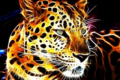 55 Cool Wallpapers For Desktop