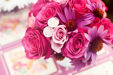 Free Beautiful High Definition Flowers Wallpapers Pink Flower ...