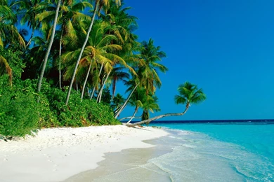 Fiji Beaches Wallpapers For Iphone