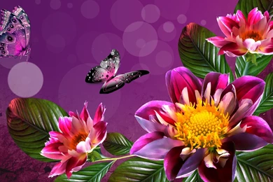 Flower Backgrounds HD Wallpaper 10.jpg