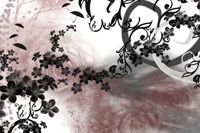 Most Popular Wallpapers ~ Toptenpack.com