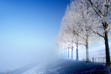 Popular Backgrounds Pictures