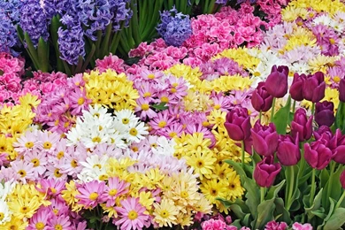 Popular backgrounds for tumblr.jpg